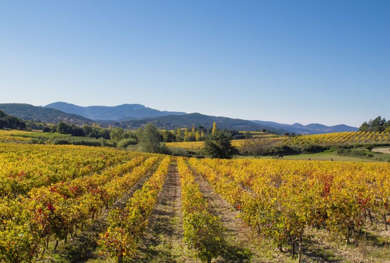 Fascinant Week-end Vignobles & Découvertes – Drôme Provençale à Grignan - 1