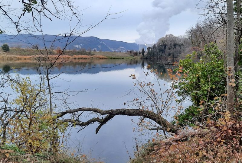 De lônes en lacs à Ancône - 0