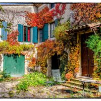 Le Mûrier, chez Odette