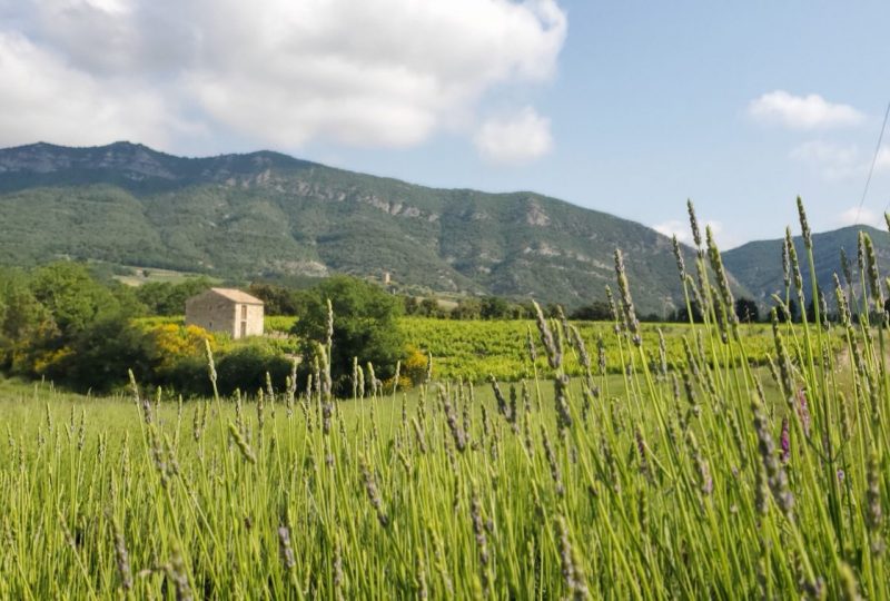 Randonnée pique-nique au domaine du Chardon Bleu à Roche-Saint-Secret-Béconne - 0