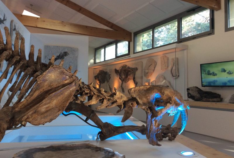 Muséum de l’Ardèche : fossiles et dinosaures à Balazuc - 0