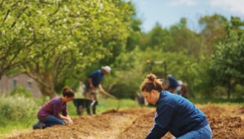 Stage découverte Débuter son potager agroécologique Du 20 au 22 sept 2024