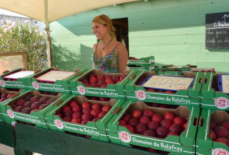 Domaine du Balafray à Châteauneuf-du-Rhône - 1