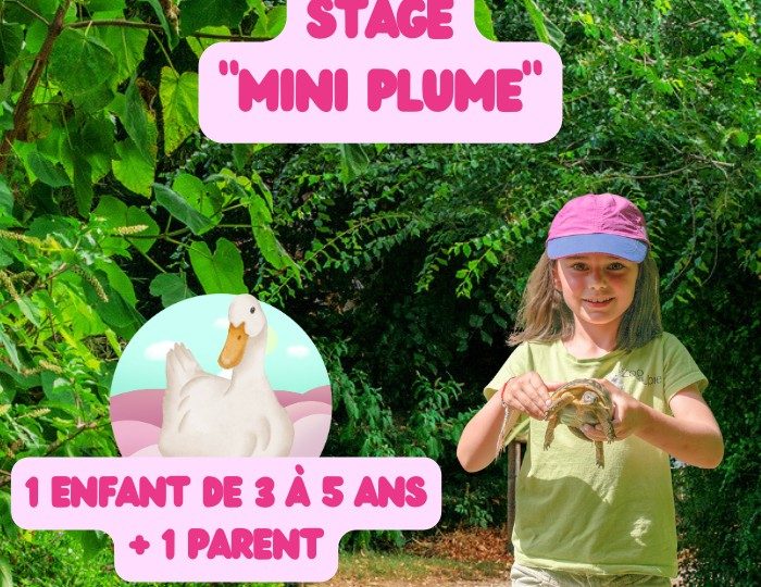 Stage animalier enfant « Mini plume » à Upie - 0