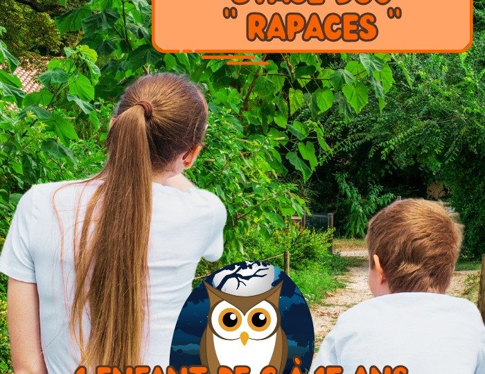 Stage animalier parent/enfant « Rapaces » à Upie - 0