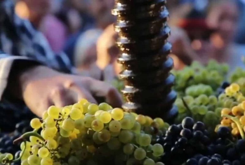 Ban des Vendanges au domaine Les Amoureuses à Bourg-Saint-Andéol - 0