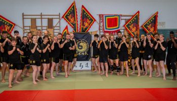 Groupe Boxe Chinoise