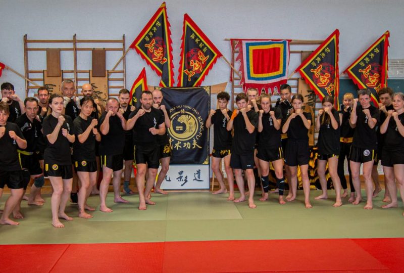 Kung Fu Boxe Chinoise Hu Ying Dao de Cléon d’Andran à Cléon-d'Andran - 0