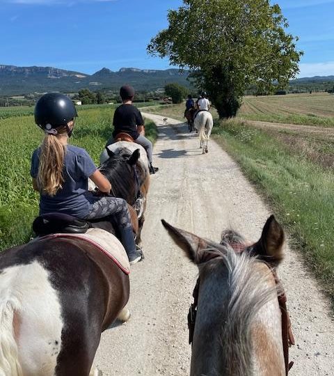 Stage d’équitation des vacance de la toussaint à Puy-Saint-Martin - 2