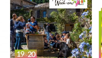 Fascinant Week-end : Le Quizz du vin