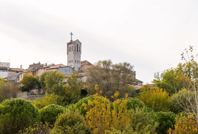 En allant vers le Roubion à Saint-Gervais-sur-Roubion - 2