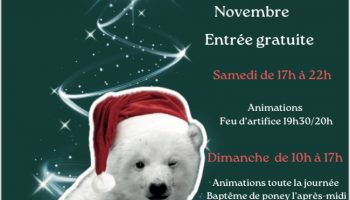 2ème Marché de Noel de Saulce sur Rhône