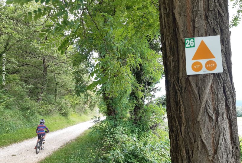 Les Ramières du Roubion à Saint-Gervais-sur-Roubion - 4