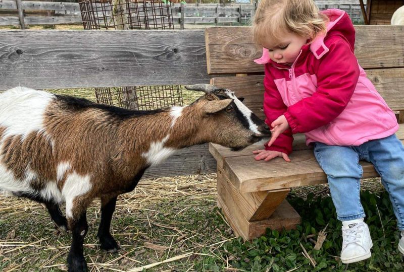 Ferme : Au bonheur des animaux à La Garde-Adhémar - 0