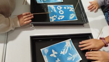 Ateliers cyanotypes et visites guidées au Musée... Du 30/12/2024 au 6/1/2025