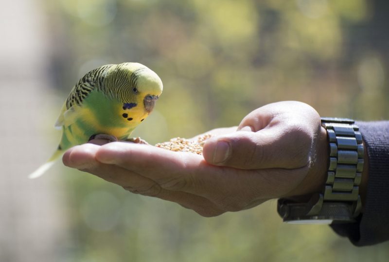 Parc animalier de Lussas à Lussas - 3