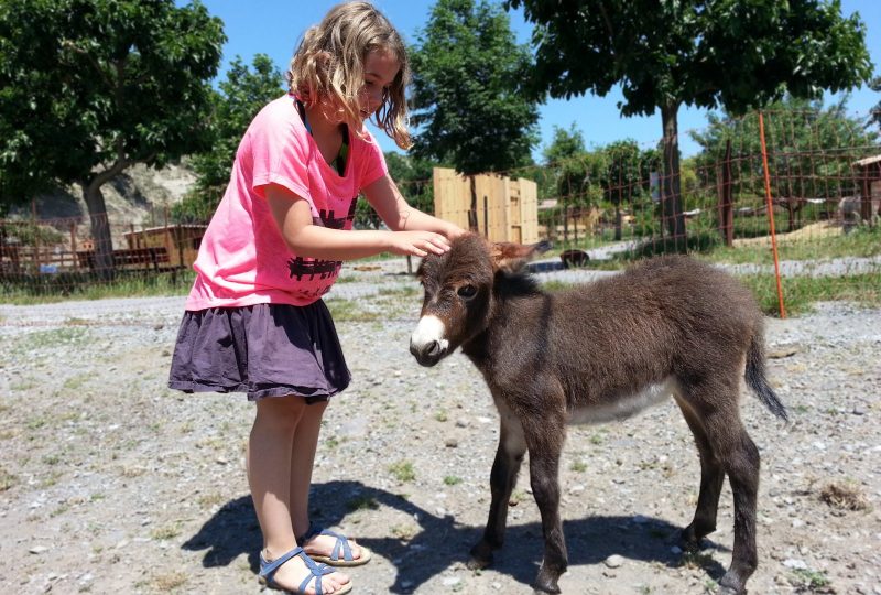 Parc animalier de Lussas à Lussas - 5