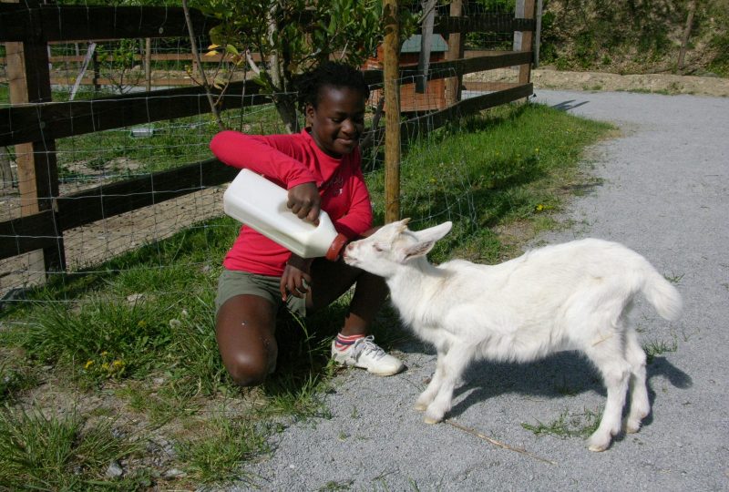 Parc animalier de Lussas à Lussas - 13