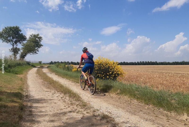 Le tour des villages à Manas - 3