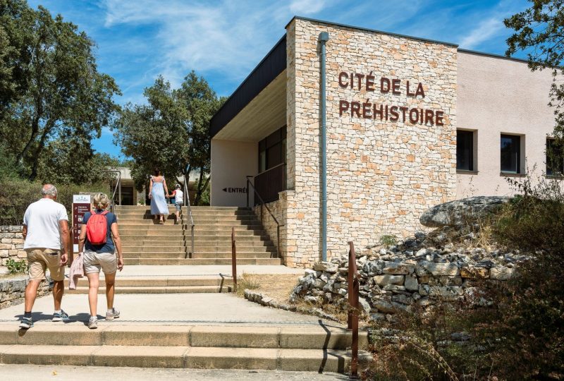 Aven d’Orgnac Grand Site de France, visite de la grotte et de la Cité de la Préhistoire à Orgnac-l'Aven - 8