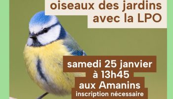 Comptage des oiseaux  avec la LPO_La Roche-sur-Grane