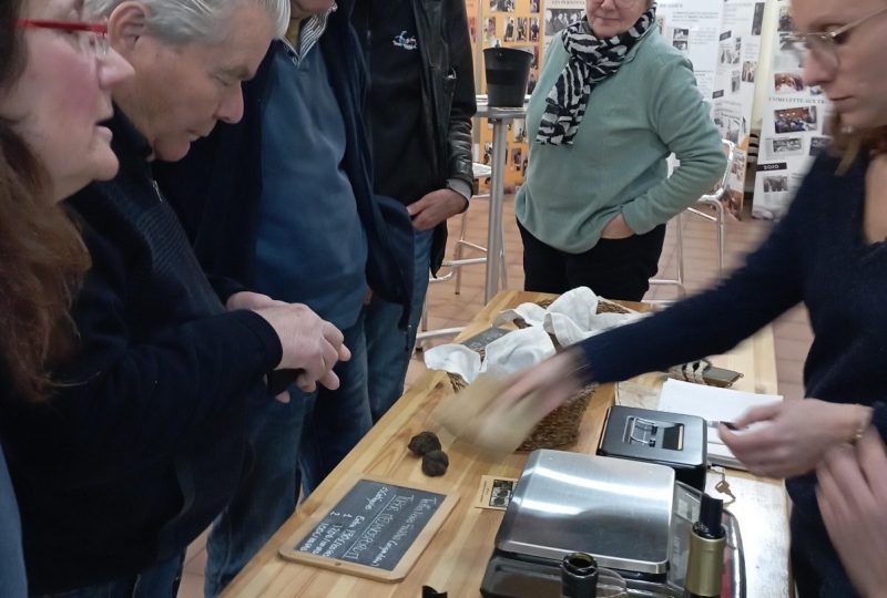 soirée rencontre avec un trufficulteur à Saint-Paul-Trois-Châteaux - 0