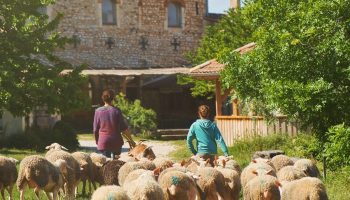 Séjours été vacances à la ferme_La Roche-sur-Grane