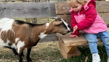 Ferme : Au bonheur des animaux_La Garde-Adhémar