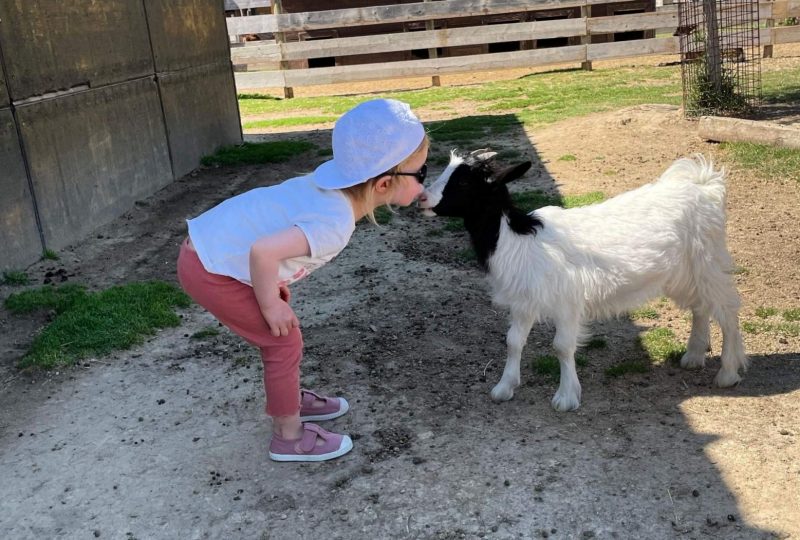 Ferme : Au bonheur des animaux à La Garde-Adhémar - 8