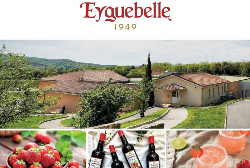 Domaine Eyguebelle à Valaurie - 0