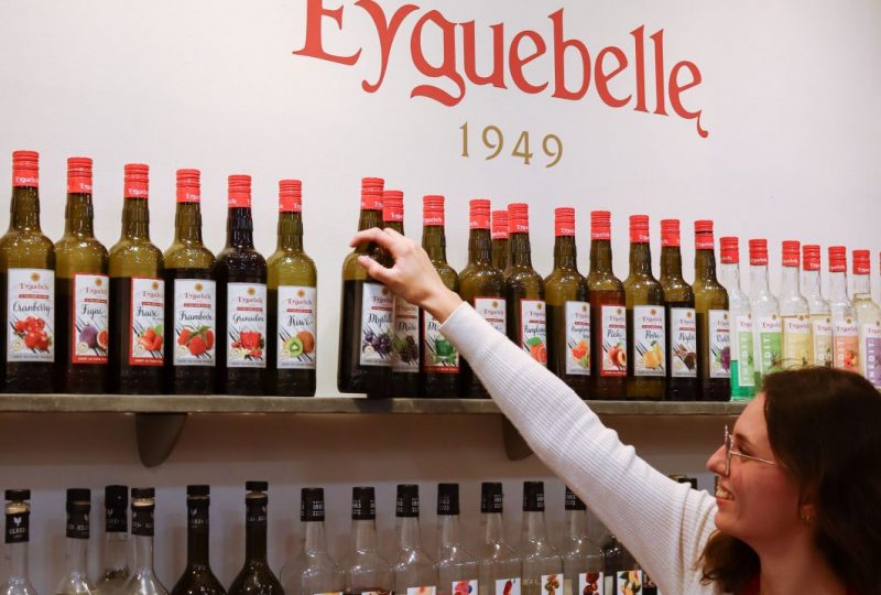 Domaine Eyguebelle à Valaurie - 8