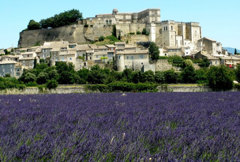 Porte de Provence à Châteauneuf-du-Rhône - 11