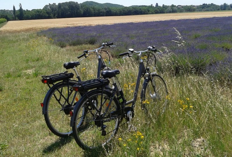 Location de vélos à assistance électrique et classique à Marsanne - 3