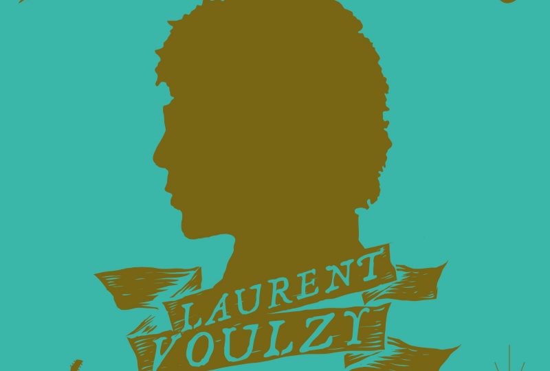 Concert : Laurent Voulzy à Montélimar - 0